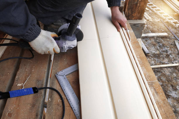 Best Stone Veneer Siding  in La Plata, MO