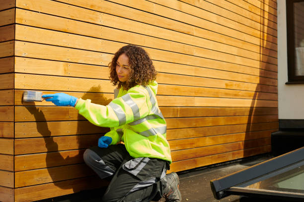 Best Steel Siding Installation  in La Plata, MO